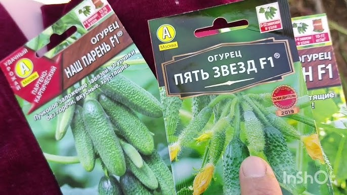 Сперматозоид қорқынышы