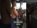 Navegando