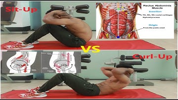 Sit-up VS Curl-up. What