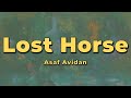 Asaf avidan  lost horse lyrics
