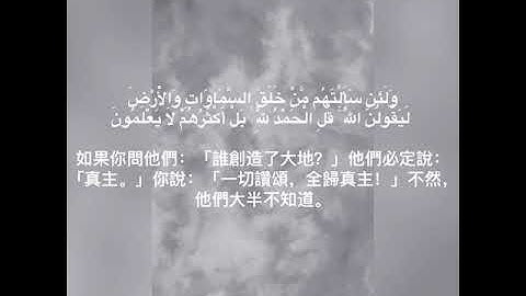 القارئ شريف مصطفى #سورة_لقمان - 鲁格玛尼) #القارئ_مصطفى_شريف