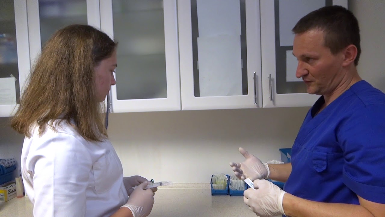 Ko bom velika, bom veterinarka