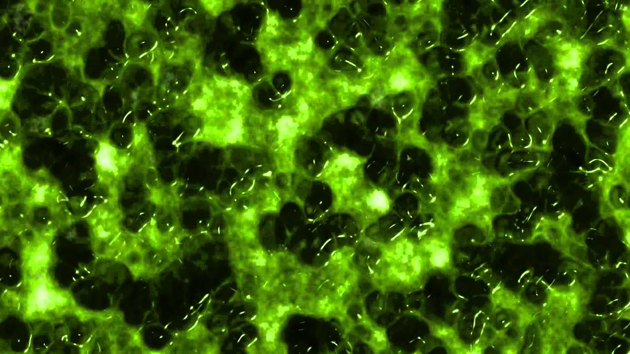 Slime FREE Video Background 1080p - YouTube.