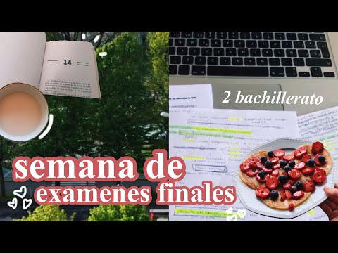 SEMANA DE EXÁMENES EN 2º DE BACHILLER || The Siss