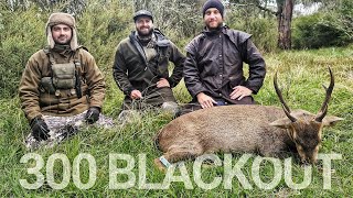 HOG DEER STAG On First Day of 2022 Season  300 AAC BLACKOUT