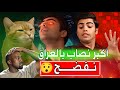 اكبر نصاب في العراق نفضح الجزء الثاني حسين بزونه يخرج عن السيطرة ميمز ابو البزونه اكبر نصاب في العراق نفضح الجزء الثاني حسين بزونه يخرج عن السيطرة ميمز ابو البزونه