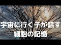 6歳の子が話す「死後のこと」「輪廻転生」「心と魂と命」そして「骨と爪と髪(DNA?)」