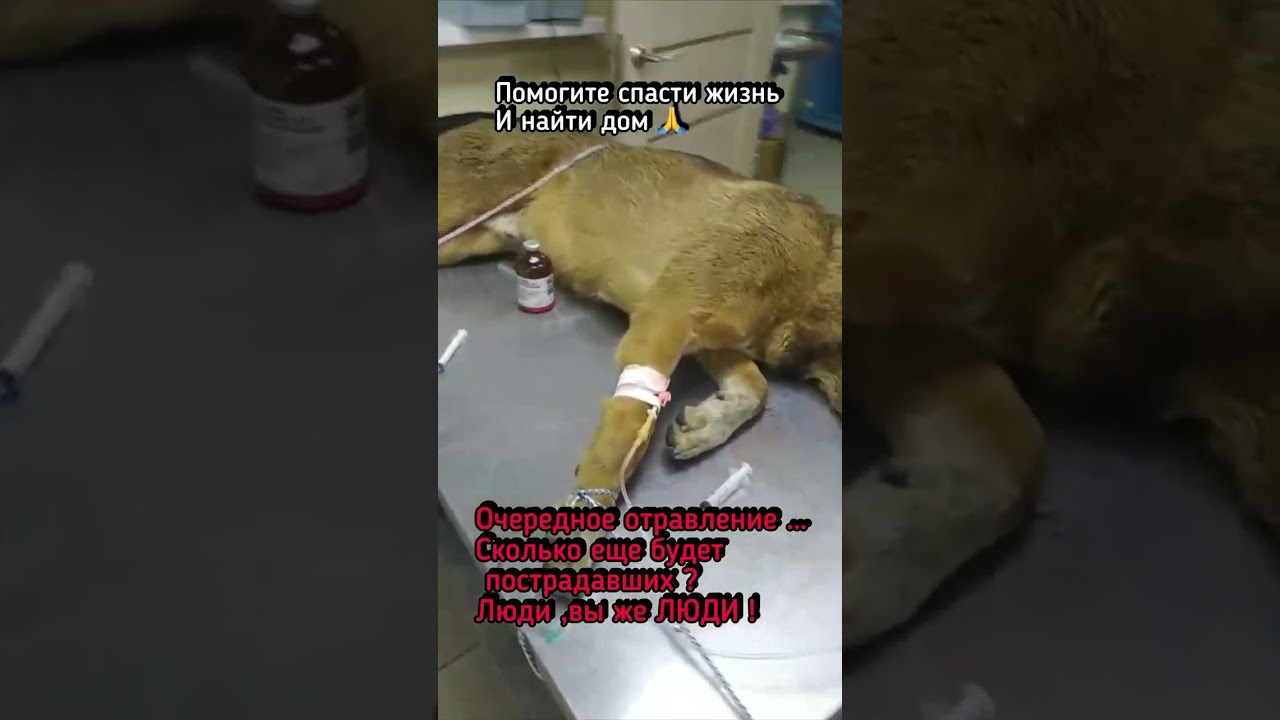 5469  5400 1682 1595 сбер