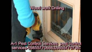 A1 Pest Control