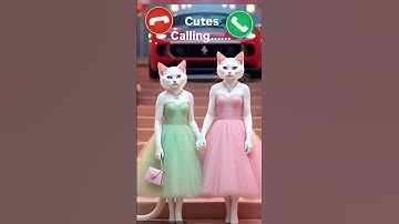 cutes calling✨🤙viral 🔥ringtone mi#🤙viralshortvedeo#yt#short#vedeo#cute#cat#cutes#calling#mi#ring#mi#