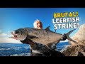 Incredible Attack Out of Nowhere | Shore Jigging BIG Leerfish