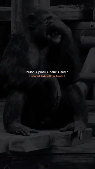 STORY WA 30 DETIK TERBARU/STORY WA KATA KATA BIJAK/STORY WA KEREN/DJ QUOTES WA KEREN 30 DETIK