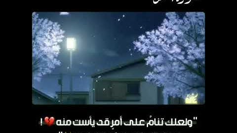 قل الحمد لله وسلام على عباده الذين اصطفى | على رميح | ما تيسر من سورة النمل⁦❤️⁩