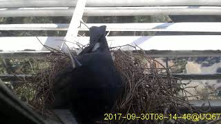 20170930T0800~0830