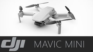 Квадрокоптер DJI Mavic Mini: первое знакомство