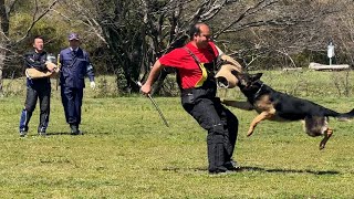 嘱託警察犬審査会を開催