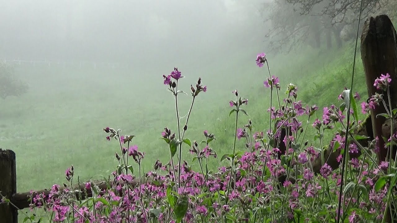 Quelques images de La Tour St Joseph YouTube