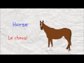 Animals in French | Learn French easy