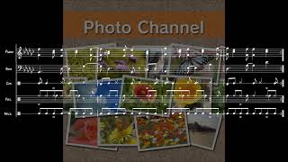 Puzzle - Transcription (from Wii Photo Channel) (reupload)