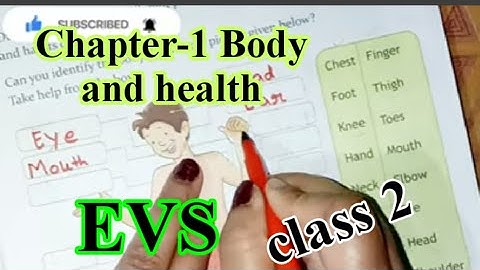 class 2 evs chapter1||evs class 2 chapter 1||cbse class 2 evs chapter 1||‎My body  @sckidsclasses 