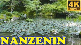 Nanzenin Garden, Nanzenji Kyoto in 4K - 南禅院庭園 京都 - Japan As It Truly Is