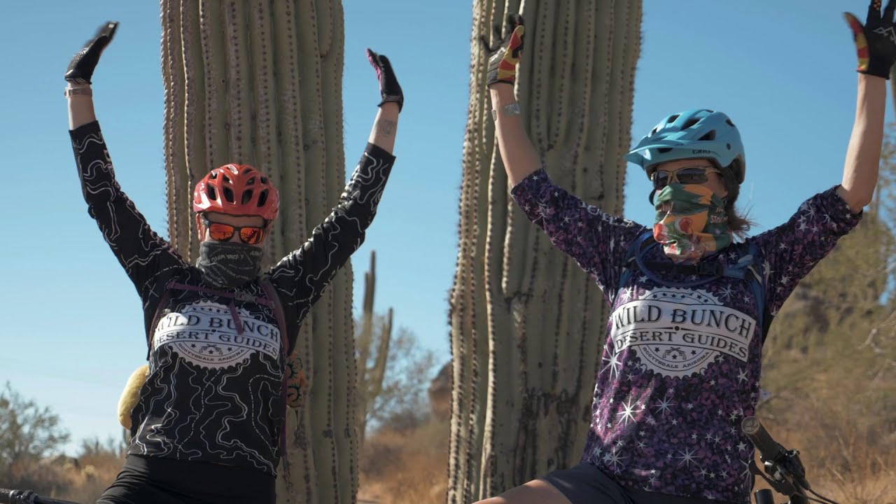 phoenix mountain bike