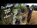 On plante 250 arbres !