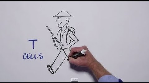 Melanoma Research Alliance Presents: The Promise of Immunotherapy