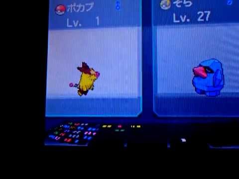 ポケットモンスターbw２ 交換編その３ Nidokuins Youtube