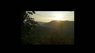 Anchetty Forest  Hosur  shorts  youtubeshorts