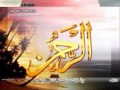 نشيد أشرقت شمس بلادي.wmv