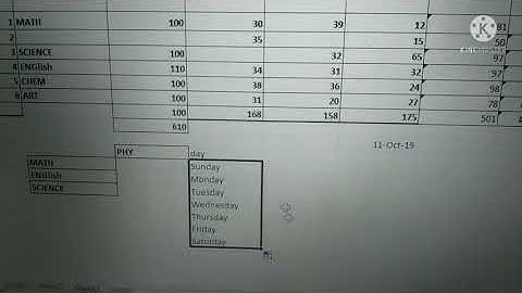CLASS-6/chapter 4/microsoft excel2016/theoretical and practical/video no 18