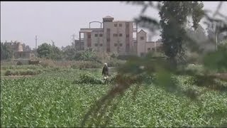 Égypte • Vendre les terres plutôt que les cultiver