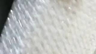 陳立農實體專格格不入開箱