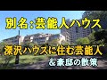 深沢ハウス(別名:芸能人ハウス)に住む芸能人