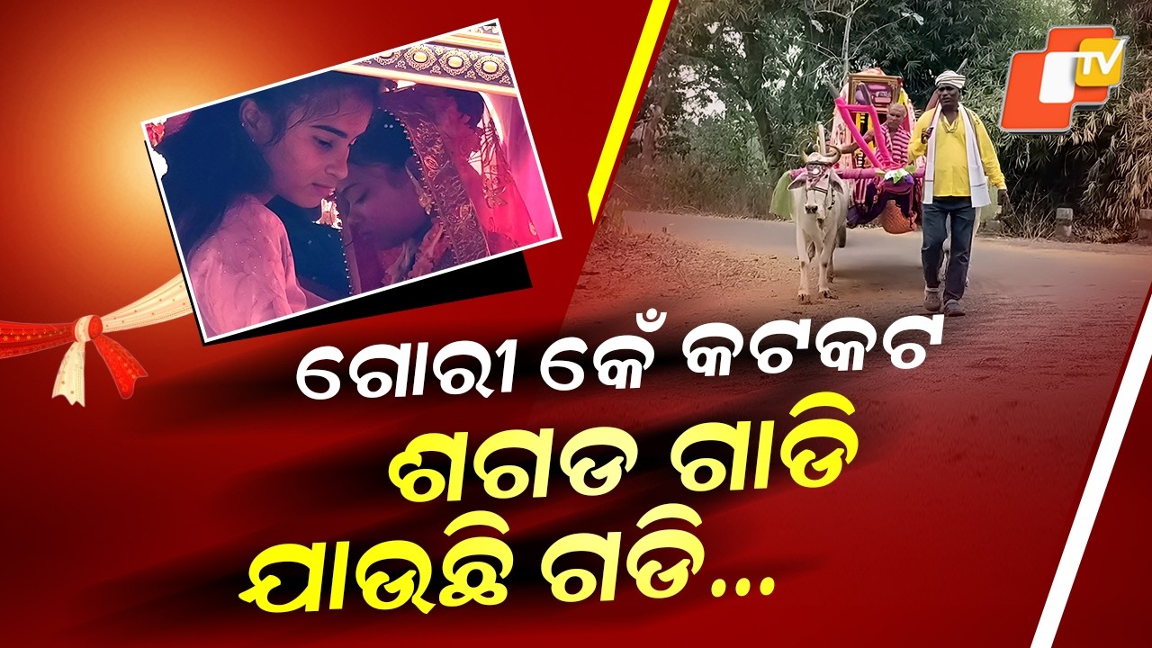 Special Story: Golden Bride in Silver Bullock Cart: Unique Odisha Wedding Joy