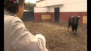 Jesús Quintero entrevista a un toro en EL LOCO SOY YO