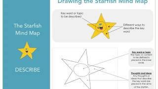 Foundation Phase Starfish Mind Map