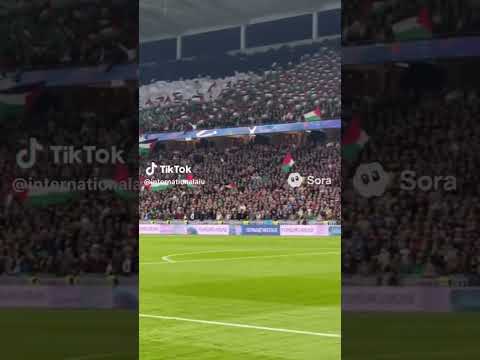 النرويج تهتف بإسم فلسطين