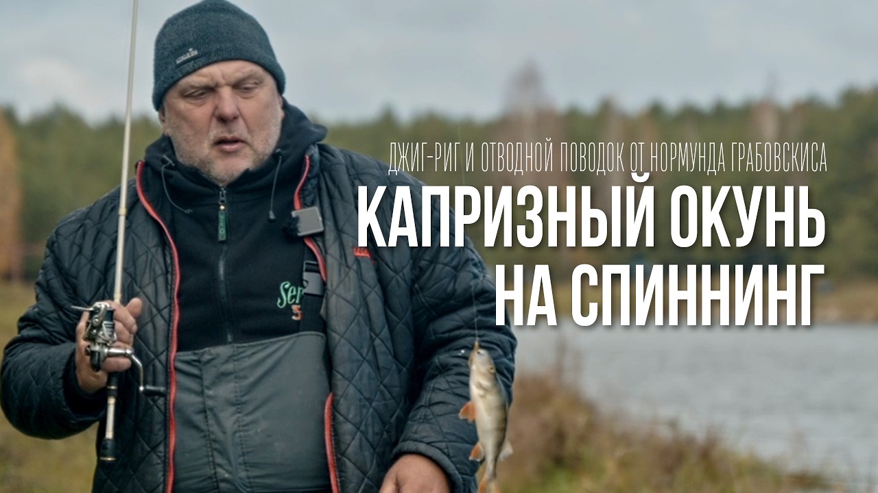 Нормунд Грабовскис: Окунь на отводной поводок и джиг-риг — тактика ловли поздней осенью