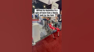 ANYmal by Anybotics: A Spin-Off Born from a Thesis, Built for the Field
