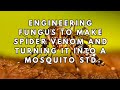 Engineering fungus to make spider venom and turning it into an STD for mosquitoes