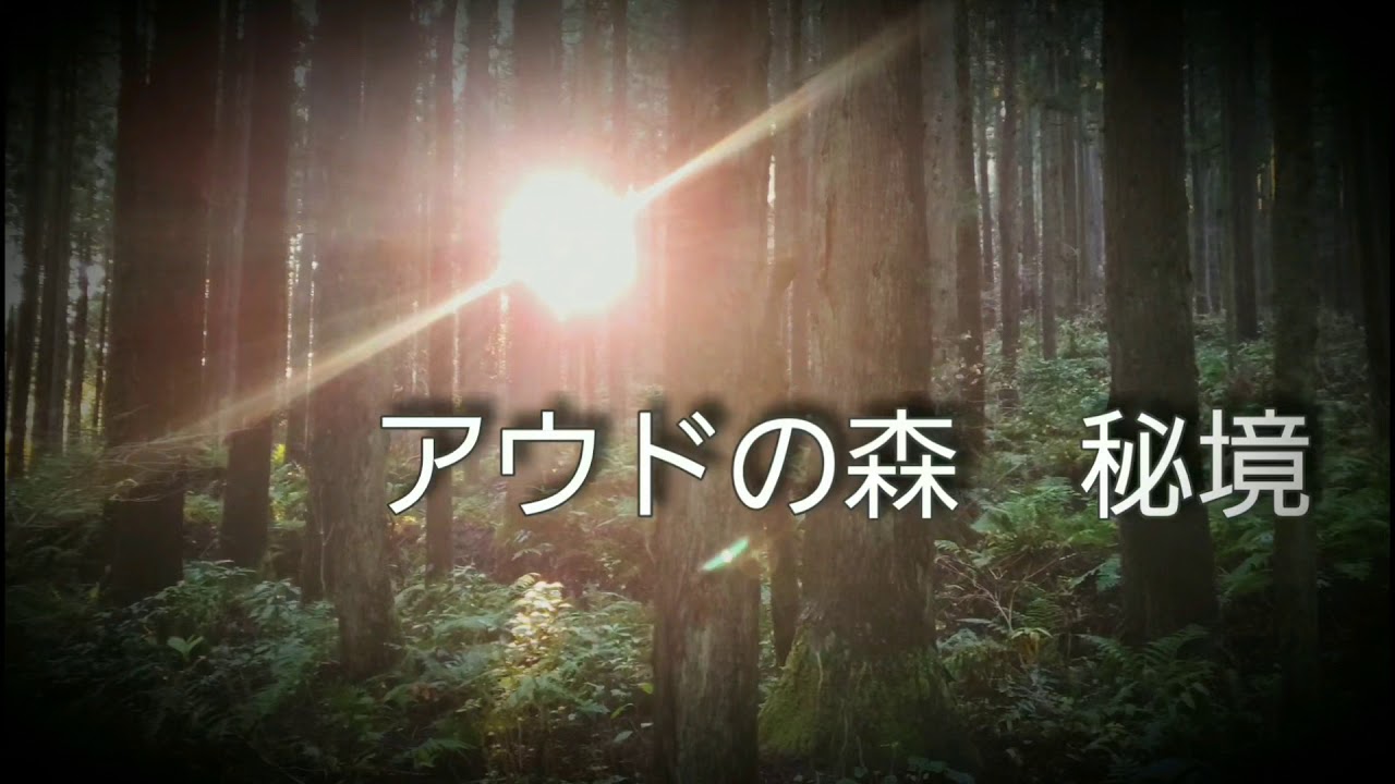 オリジナル作品アウド