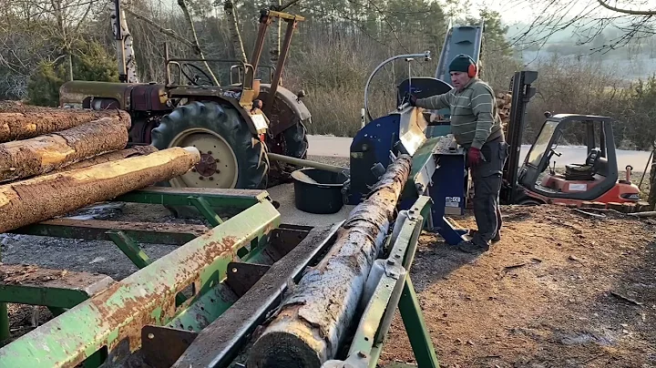 Cutting Firewood in Germany