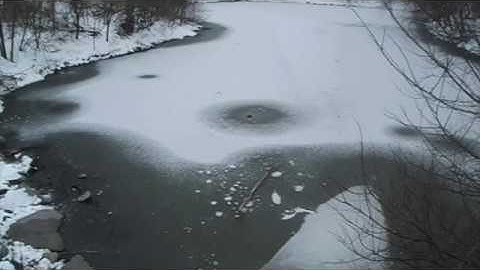 Tang - Interesting Internationally