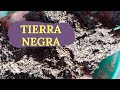 Tierra negra hazla tu misma o con dos ingredientes