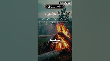 ✨ تلاوة خاشعة من كلام الله عز وجل | قرآن يشرح الصدر ✨