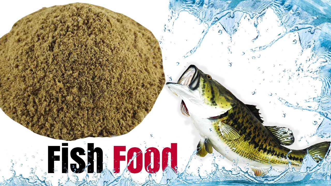 Hot Fish Food Best Food For Fish Auto Mil Food Village Fishing
