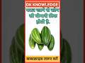 पटल खाने से GK Question || Gk In Hindi || Gk Question And Answer || Gk Quiz || Ssc || All Exam