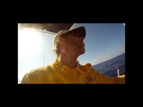 Pesca in mare dalla barca: traina con vivo